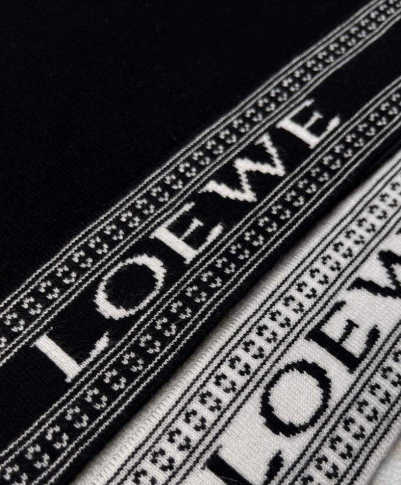 Loewe Sweaters